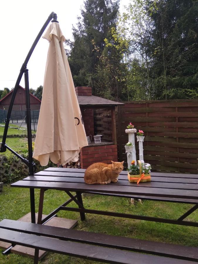 Apartament Nad Szumiacym Potokiem Wilkowice Екстер'єр фото